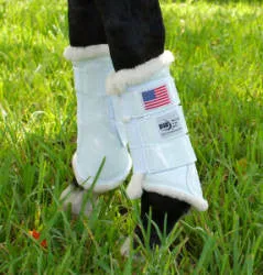 Glossy Dressage Sport Bootso