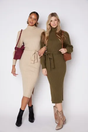 James Turtleneck Tie Waist Sweater Dress