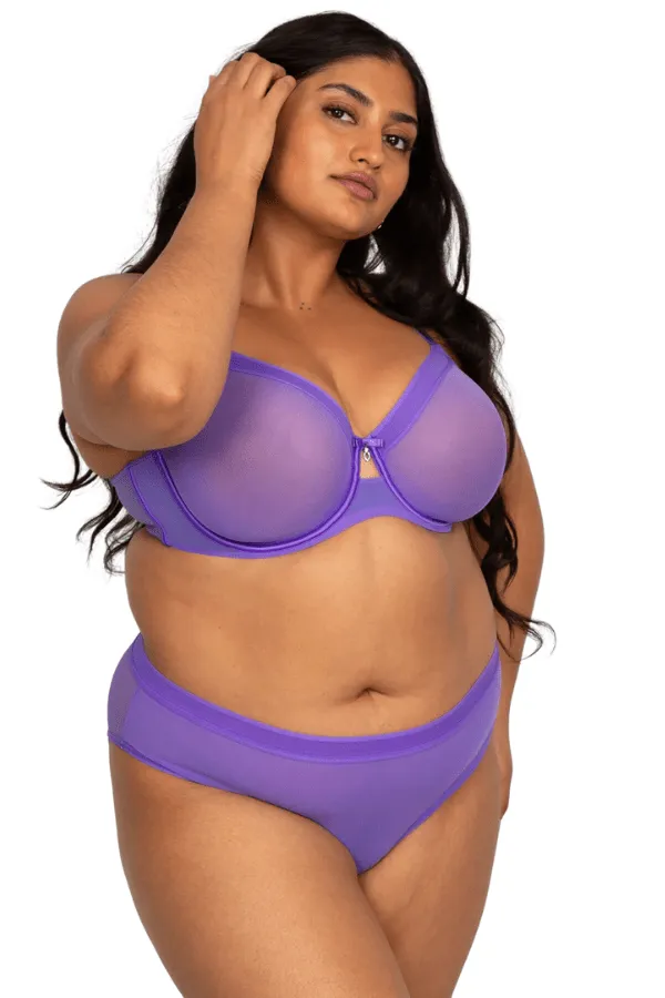 Sheer Mesh Unlined Underwire Bra - Violet