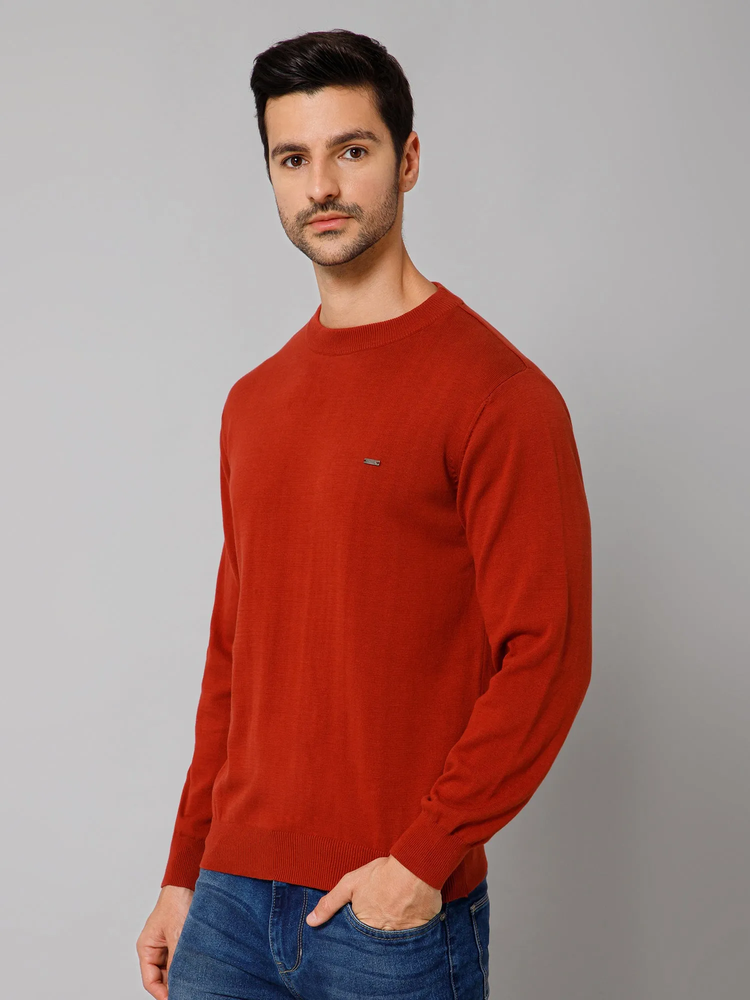 Solid Rust Full Sleeves Round Neck Regular Fit Casual Sweater for Men