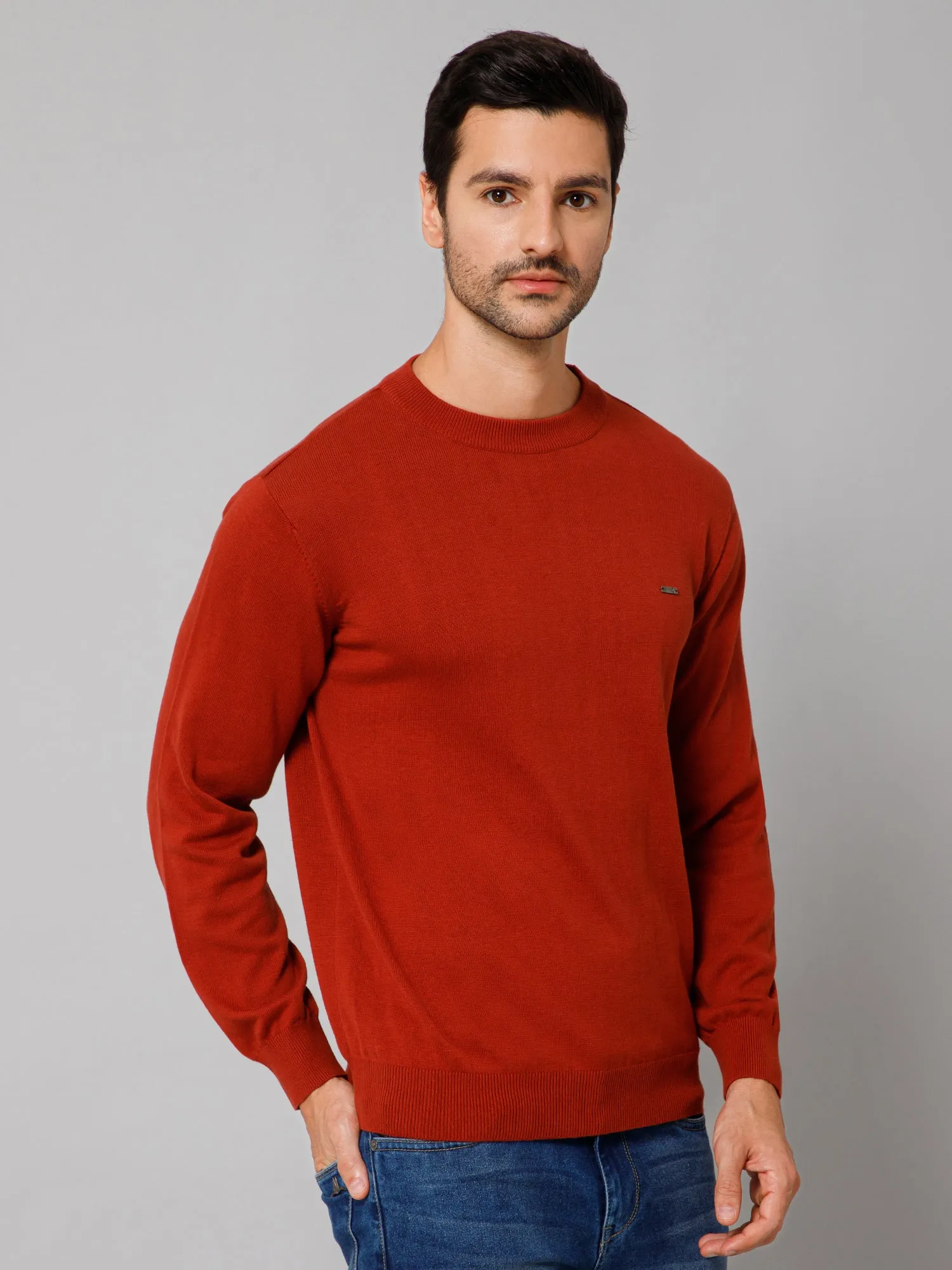 Solid Rust Full Sleeves Round Neck Regular Fit Casual Sweater for Men